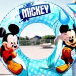 Salvavidas Disney