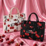 Bolso Cherry Coach