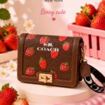 Bolso Coach Elegante